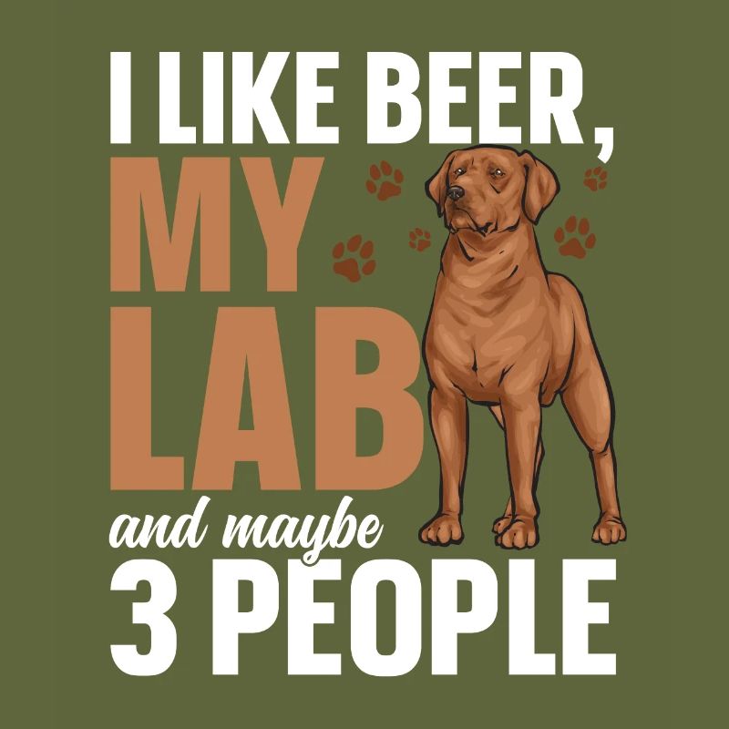 Fuchsroter Labrador Retriever Fox Red Labrador