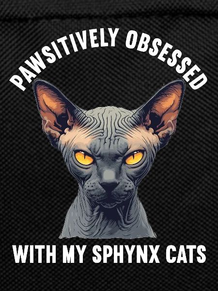 Sphynx Kitten Sphynx Cat