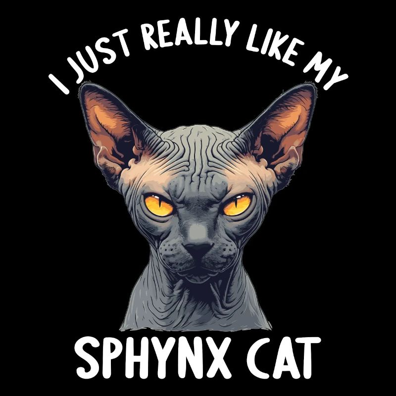 Chaton Sphynx Chat Sphynx