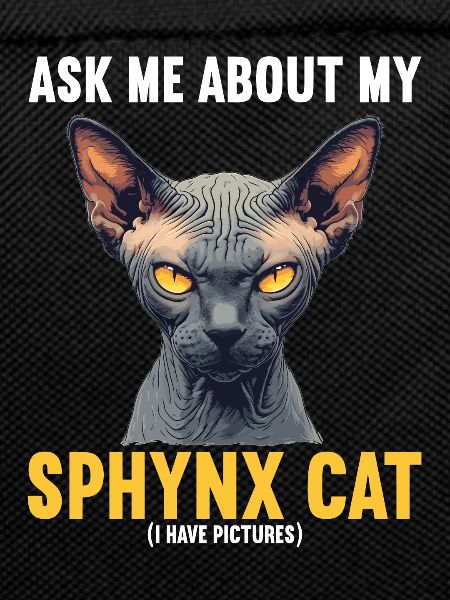 Sphynx Kitten Sphynx Cat