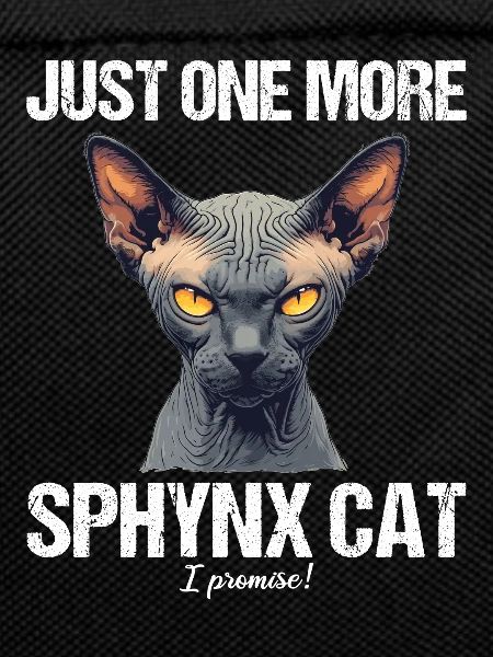 Sphynx Kitten Sphynx Cat