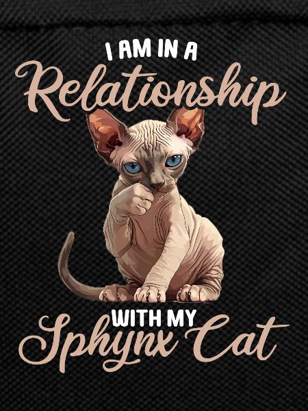Sphynx Kitten Sphynx Cat