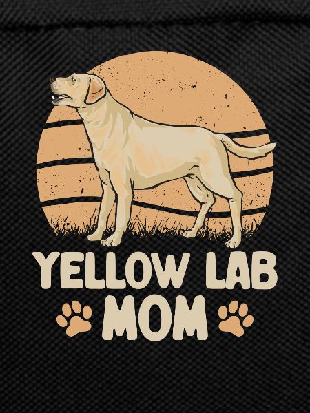 Yellow Labrador Retriever