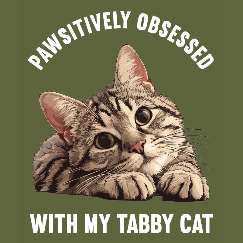 Tabby Kätzchen Tabby Katze