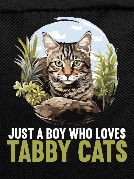 Tabby Kitten Tabby Cat