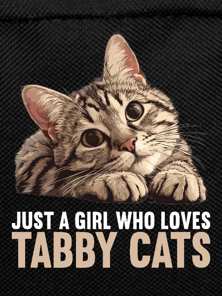 Tabby Kätzchen Tabby Katze