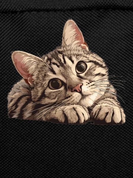 Tabby Kitten Tabby Cat