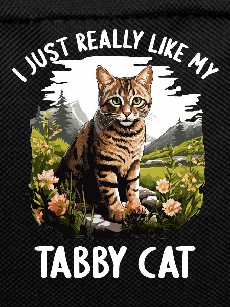 Tabby Kitten Tabby Cat