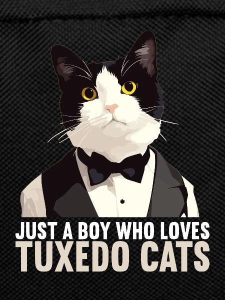 Tuxedo Kitten Tuxedo Cat