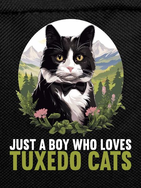 Tuxedo Kitten Tuxedo Cat