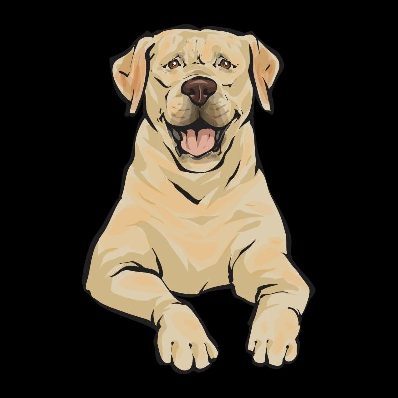 Yellow Labrador Retriever