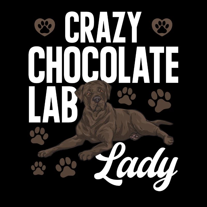 Chocolate Brown Labrador Retriever Dog