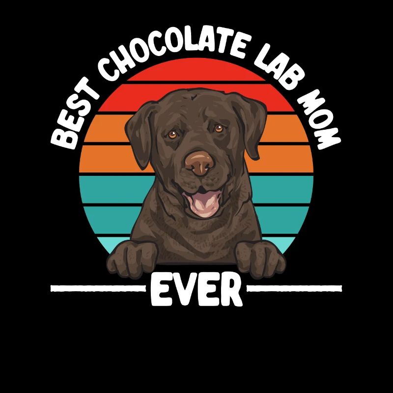 Chocolate Brown Labrador Retriever Dog