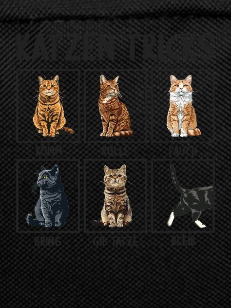 Cat Cats Tricks Funny Cats