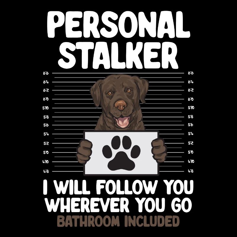 Chocolate Brown Labrador Retriever Dog