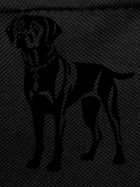 Chien Labrador