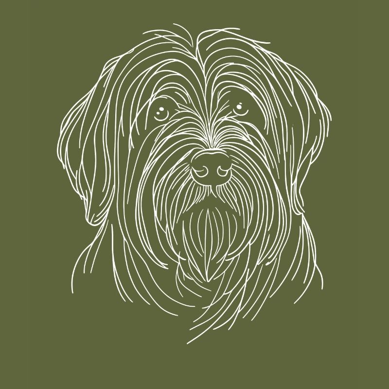 Dessin au trait Briard Briards