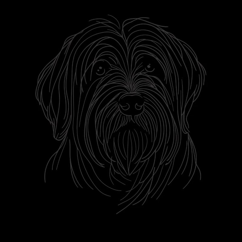 Dessin au trait Briard Briards