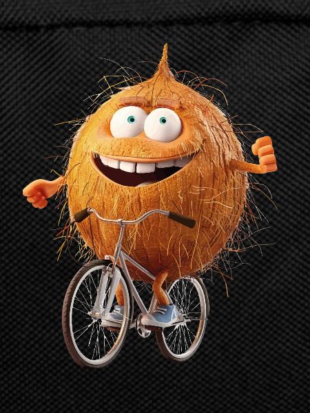 Coconut Bicycle