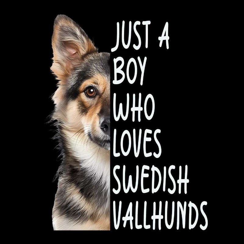 Schwedischer Vallhund