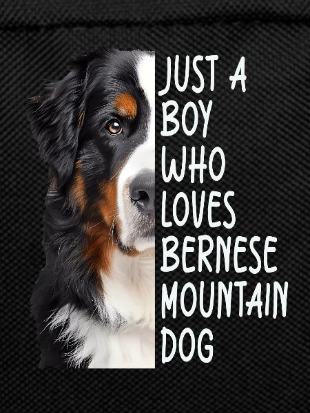 Bouvier bernois