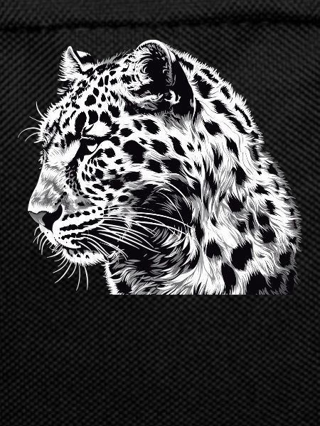 Amur Leopard Amurleoparden Amurleopard