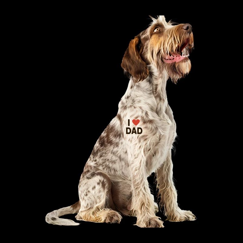 Italiano Spinone Sapa