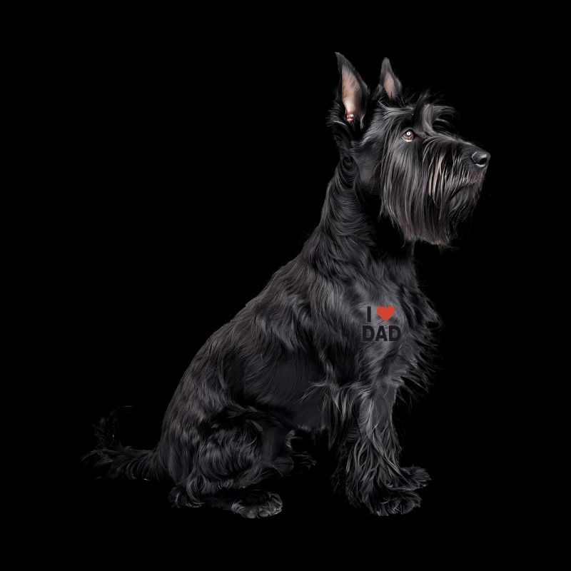 Terrier Scottish Sapa