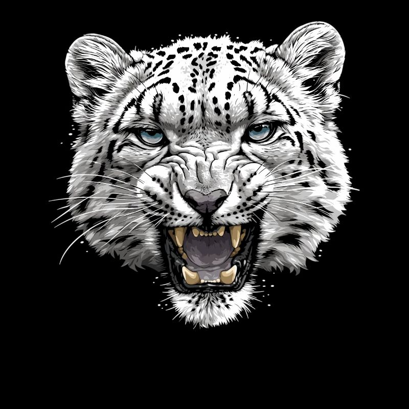 Snow Leopard Schneeleoparden Schneeleopard