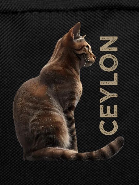 Ceylan