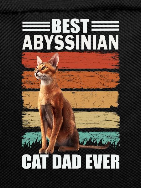 Abyssinian Papa Cat
