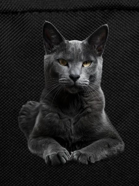 Korat