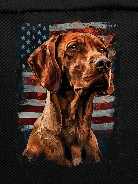 Vizsla-America Usa