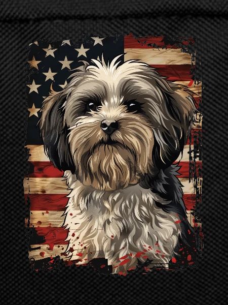 Havanese, America Usa