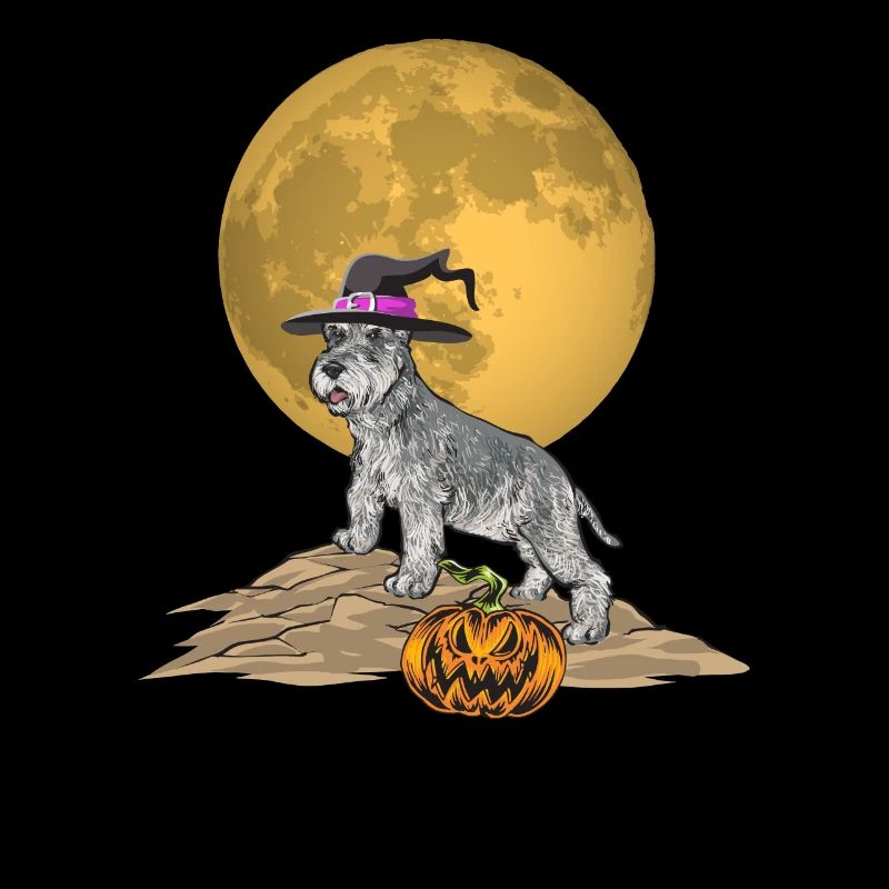 Schnauzer nain Chien Schnauzer