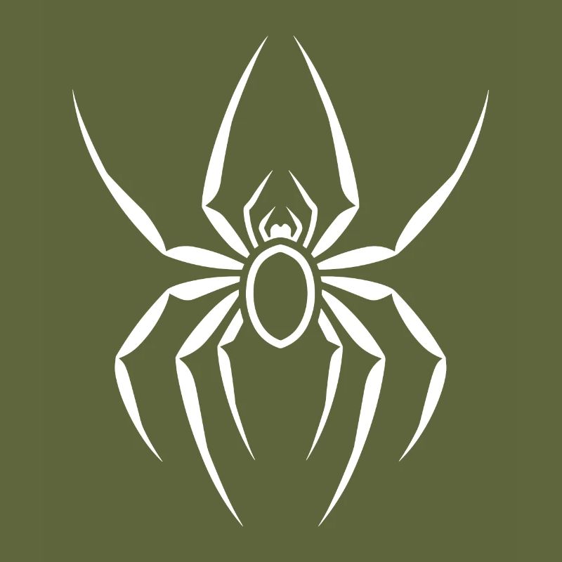 Spinne