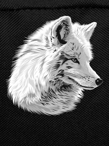 Arctic Fox Polarfüchse Polarfuchs