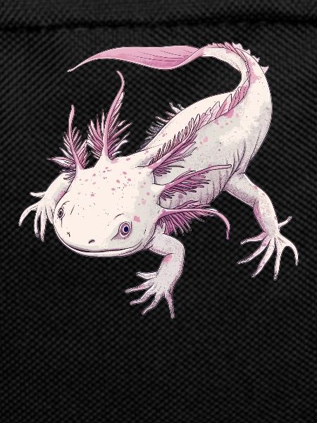 Axolotl