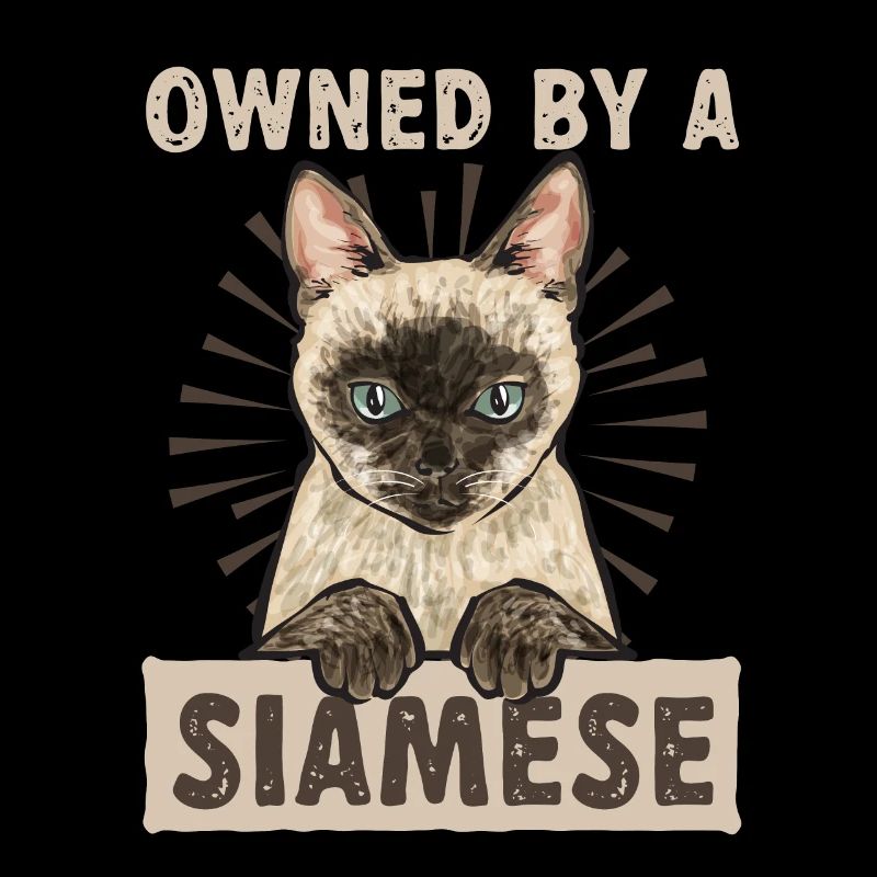 Siamkatze Katze Siamese