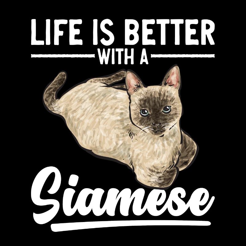 Siamese Cat Siamese Cat