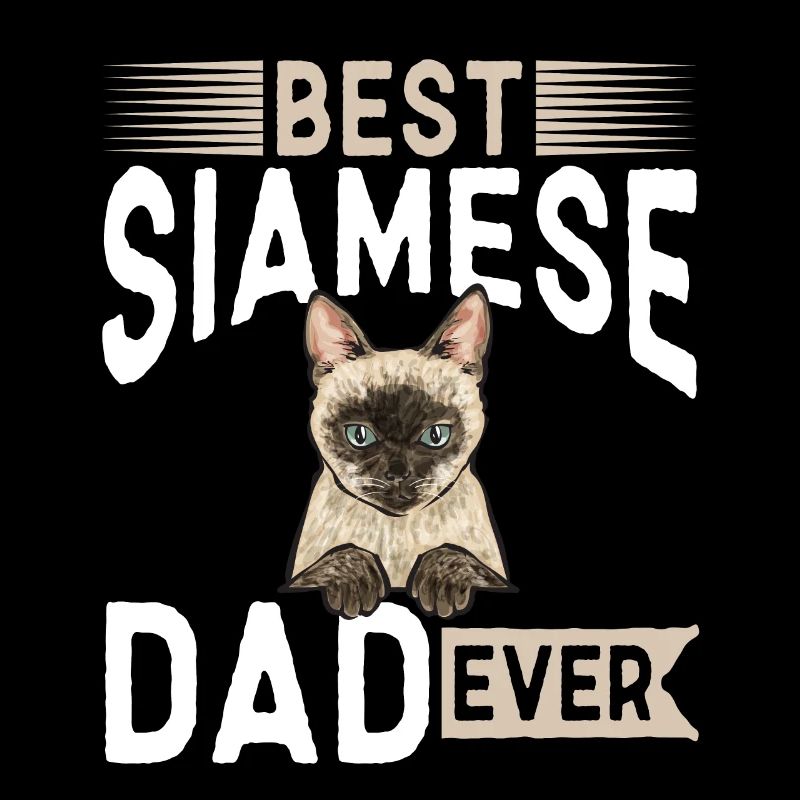 Siamese Cat Siamese Cat