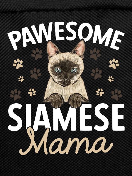 Siamese Cat Siamese Cat