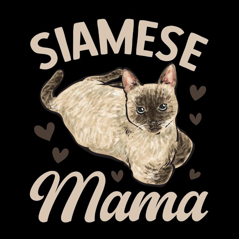 Siamese Cat Siamese Cat
