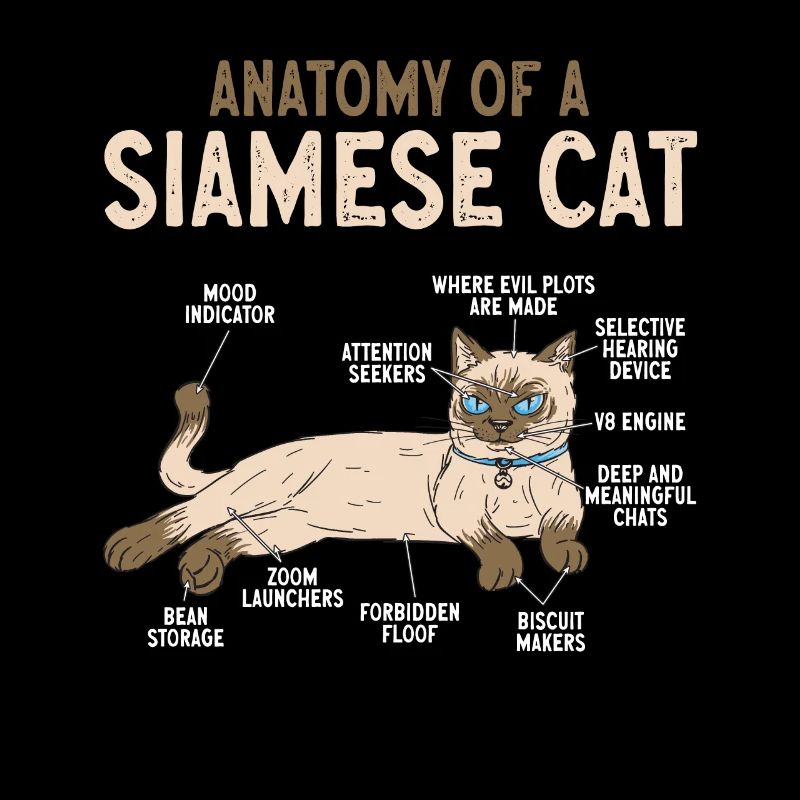 Siamese Cat Siamese Cat