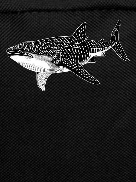 requin-baleine Requin-baleine requin-baleine