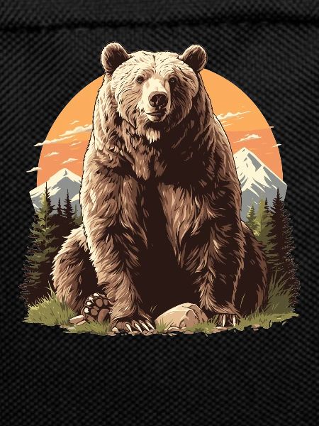 Ours Bären Bär