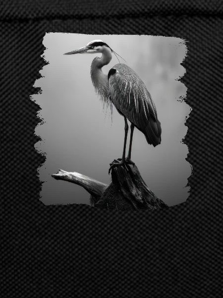 Heron Reiher