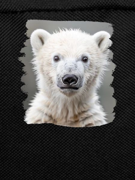 Polar Bear Eisbären Eisbär