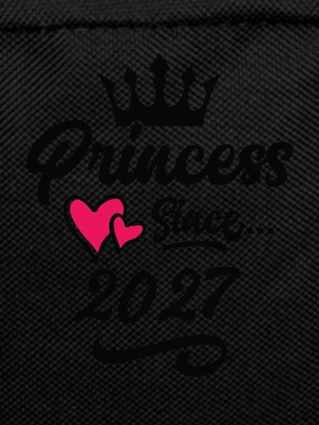 2027 Princess Birthday