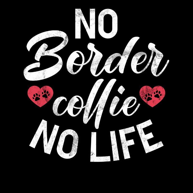 Cadeaux Border Collie